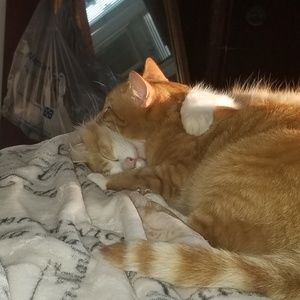 Meet your Posher, Michele